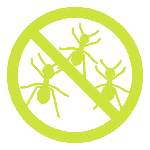 pest control solutions in Dubai