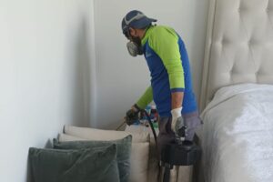 best bed bug control service in dubai