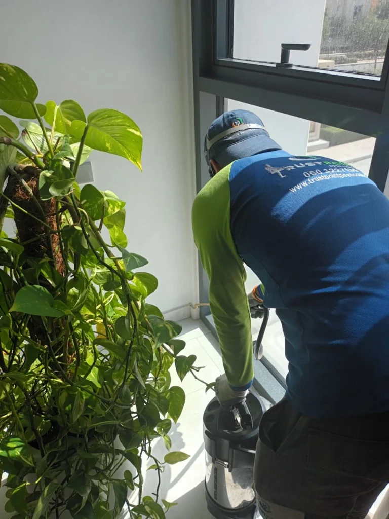 better pest control solution in dubai