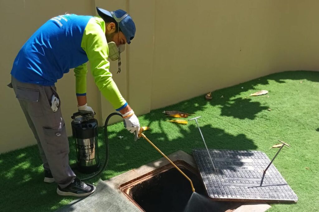 mosquito control service and solution in UAE