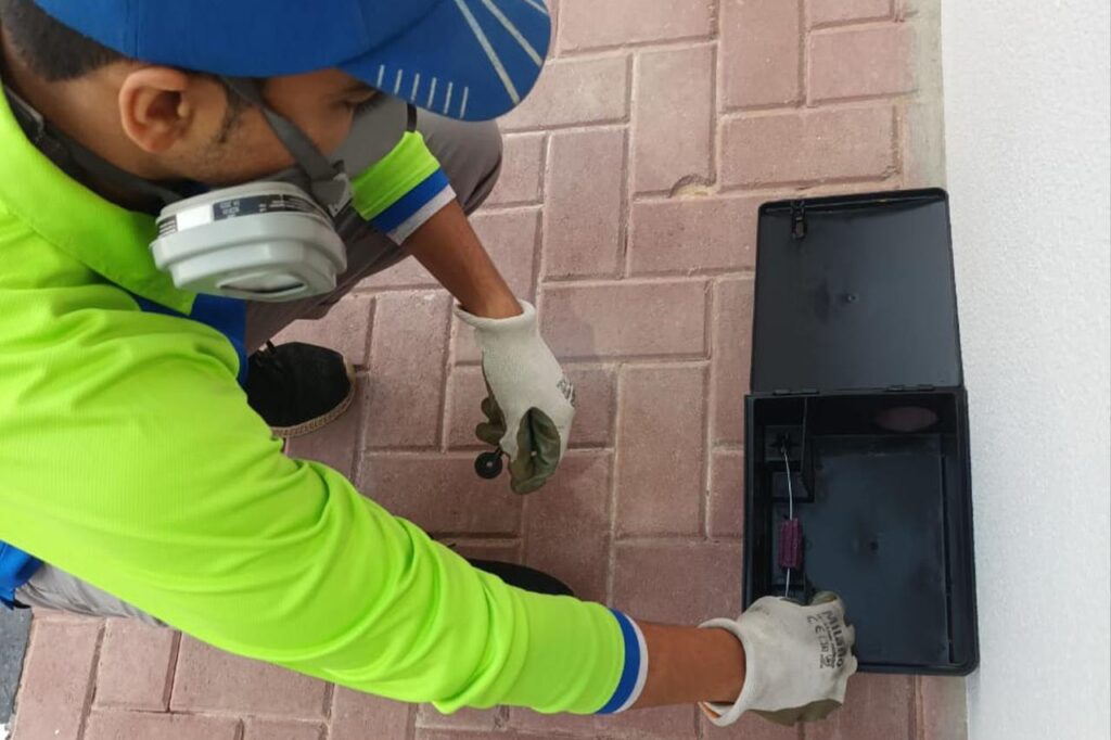 pest rodent control solution in Dubai