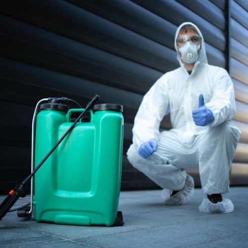 pest control in UAE